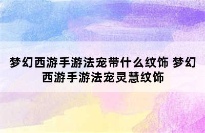 梦幻西游手游法宠带什么纹饰 梦幻西游手游法宠灵慧纹饰